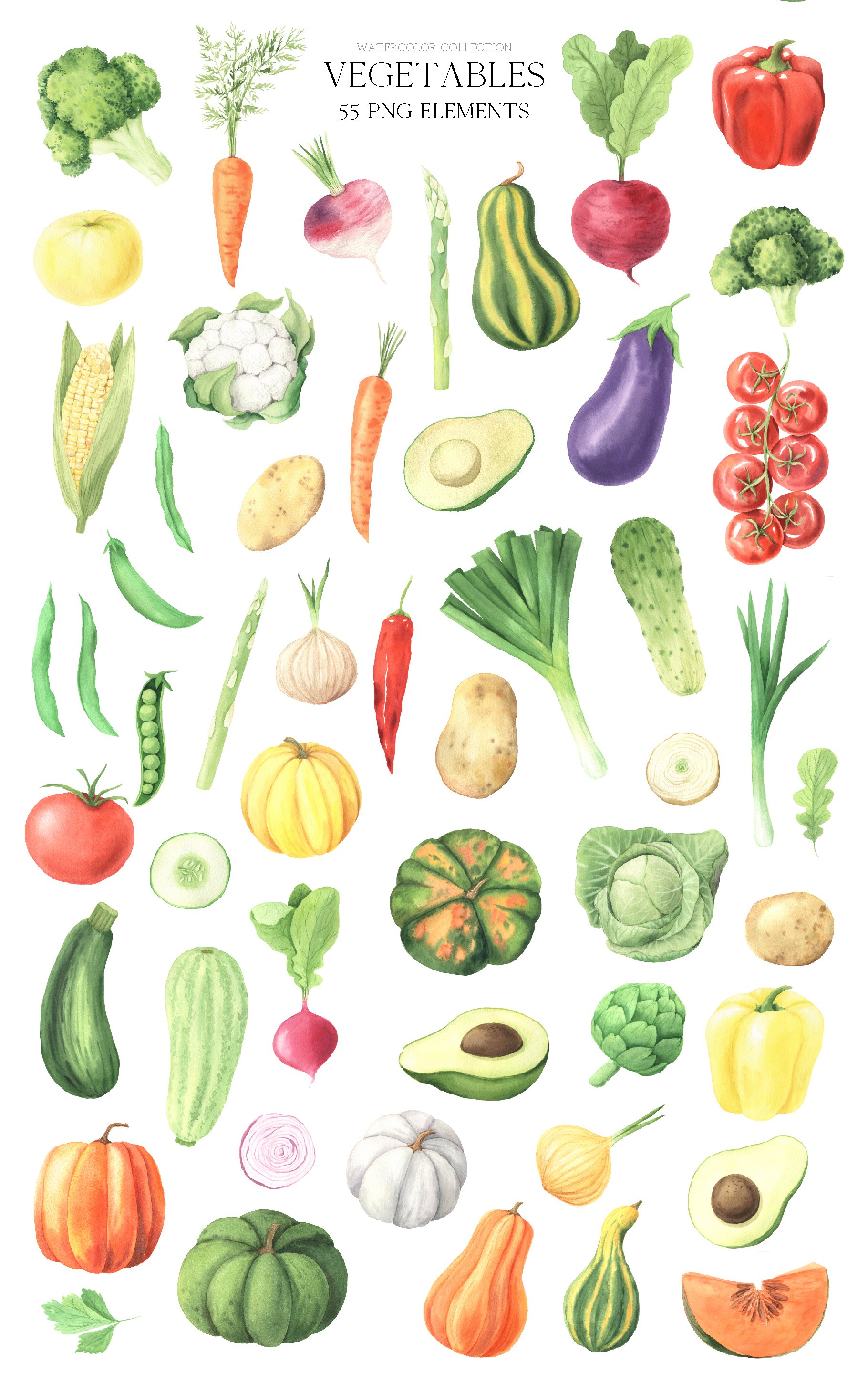 Watercolor Vegetables clipart preview image.