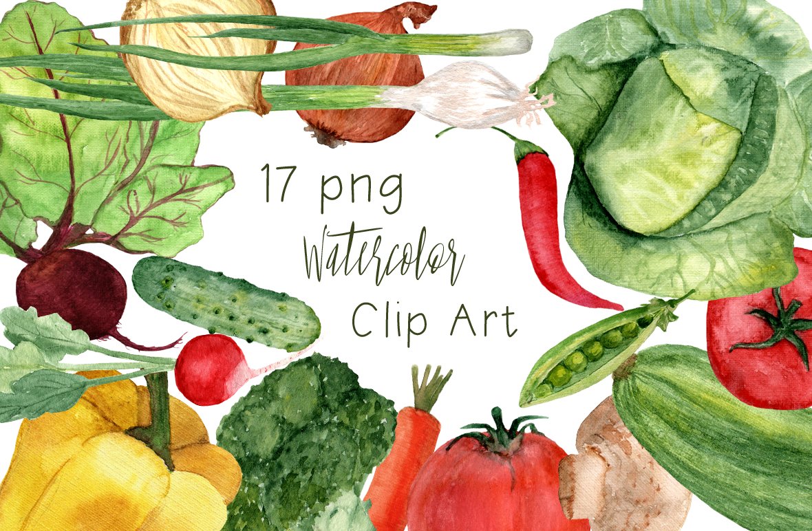 17 Watercolor Vegetables Clip Art cover image.