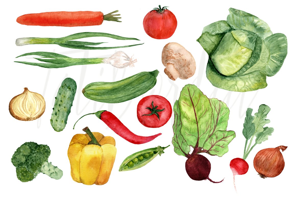 17 Watercolor Vegetables Clip Art preview image.