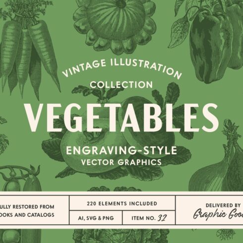 220 Vintage Vegetable Illustrations cover image.