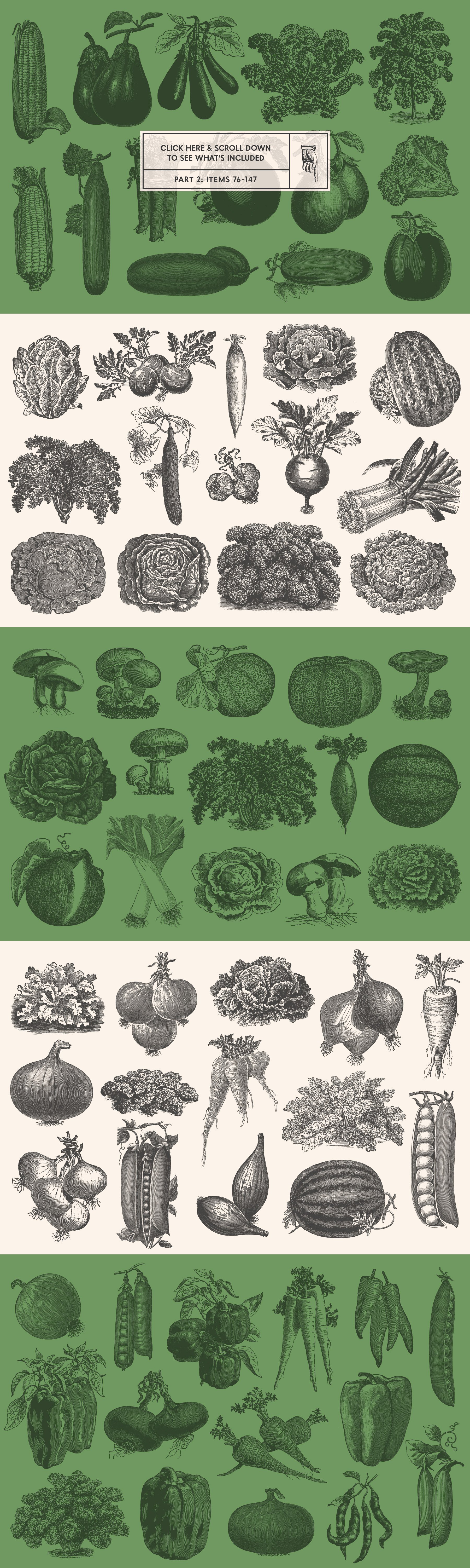 vegetables preview 08 14