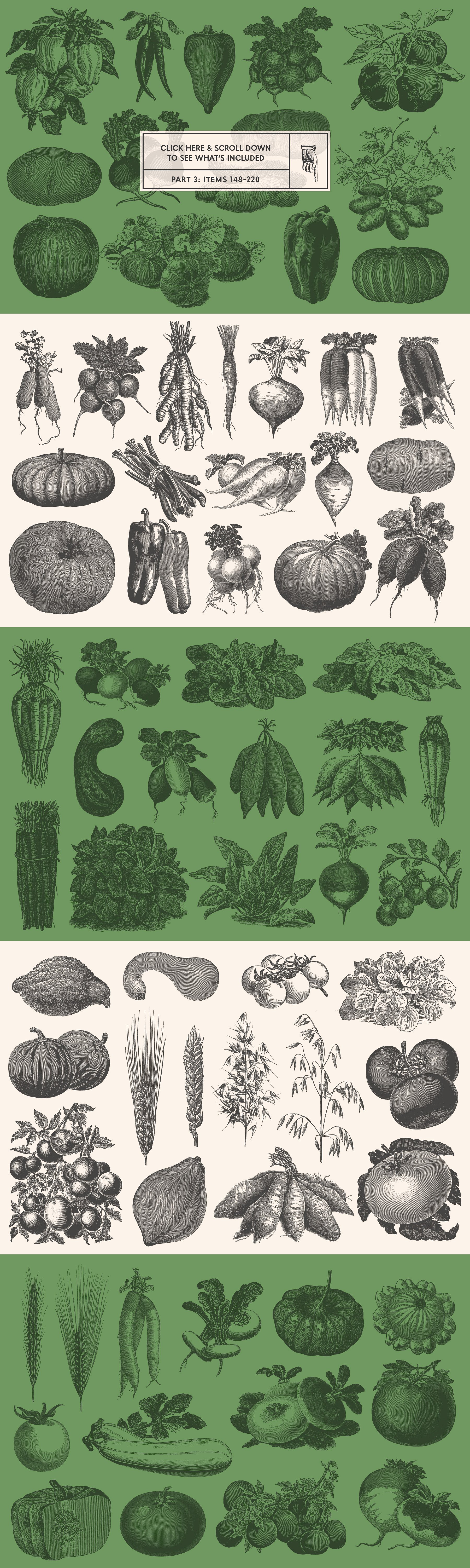 vegetables preview 12 155