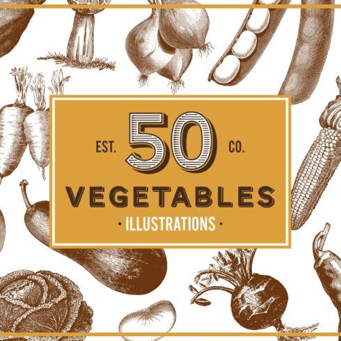 Vegetables Vintage Illustrations cover image.