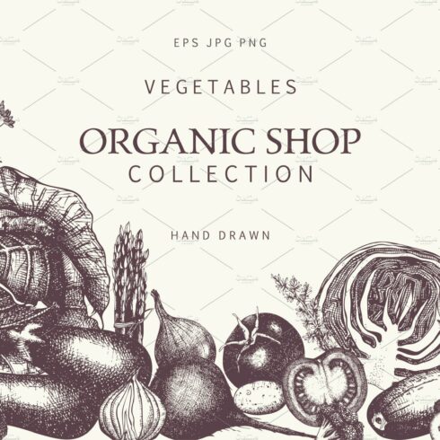 Hand Drawn Vegetables Collection cover image.