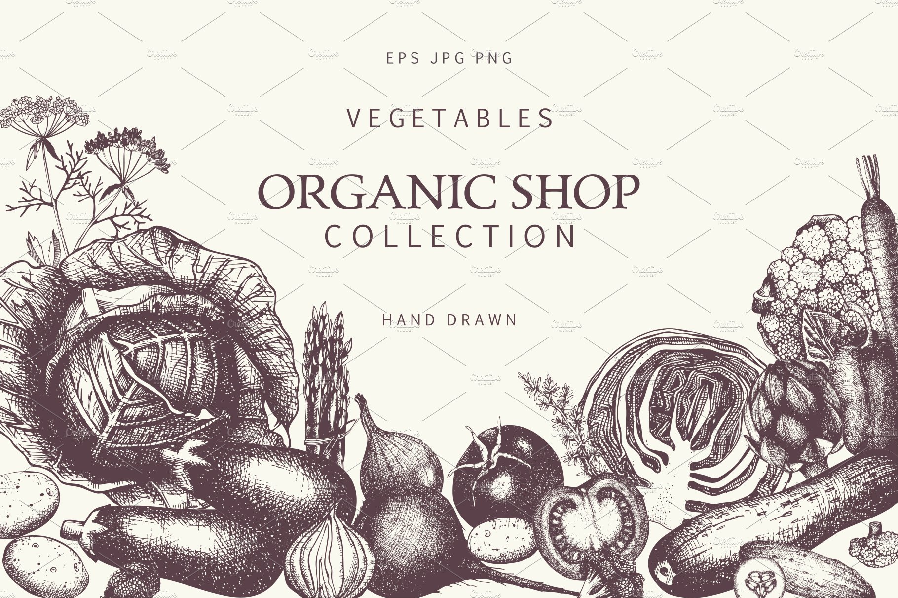 Hand Drawn Vegetables Collection cover image.