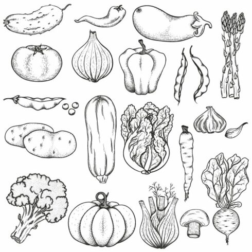 Big collection of vegetables cover image.