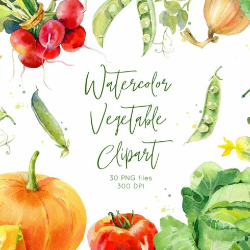 Watercolor vegetables set cover image.