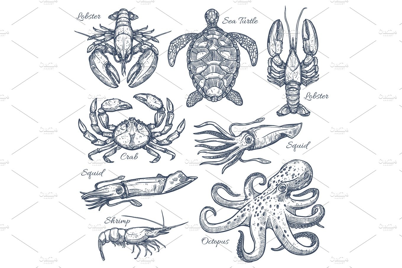 Sea animals and seafood isolated sketch set cover image.