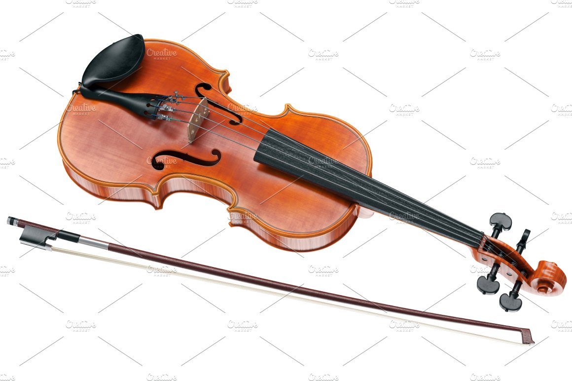violin viola 005 799