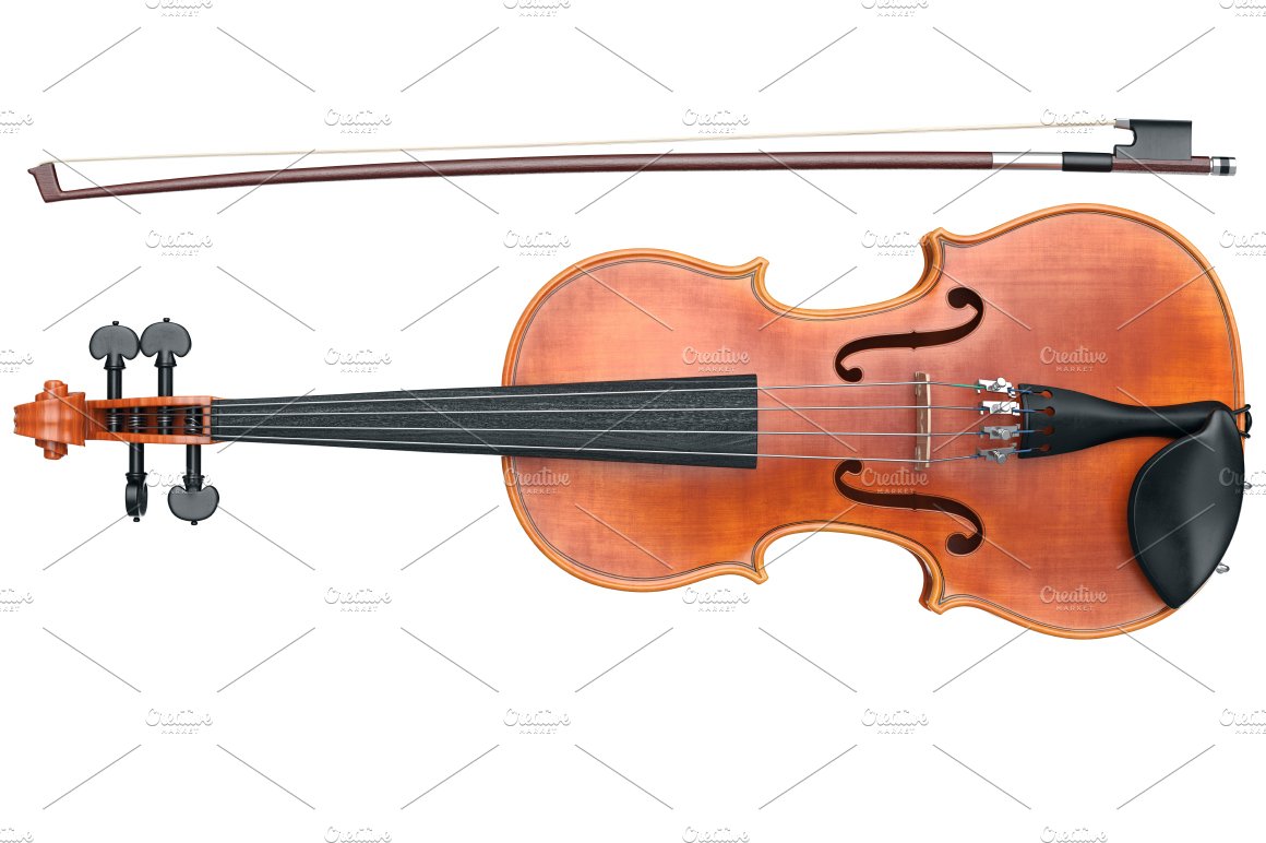 violin viola 008 474