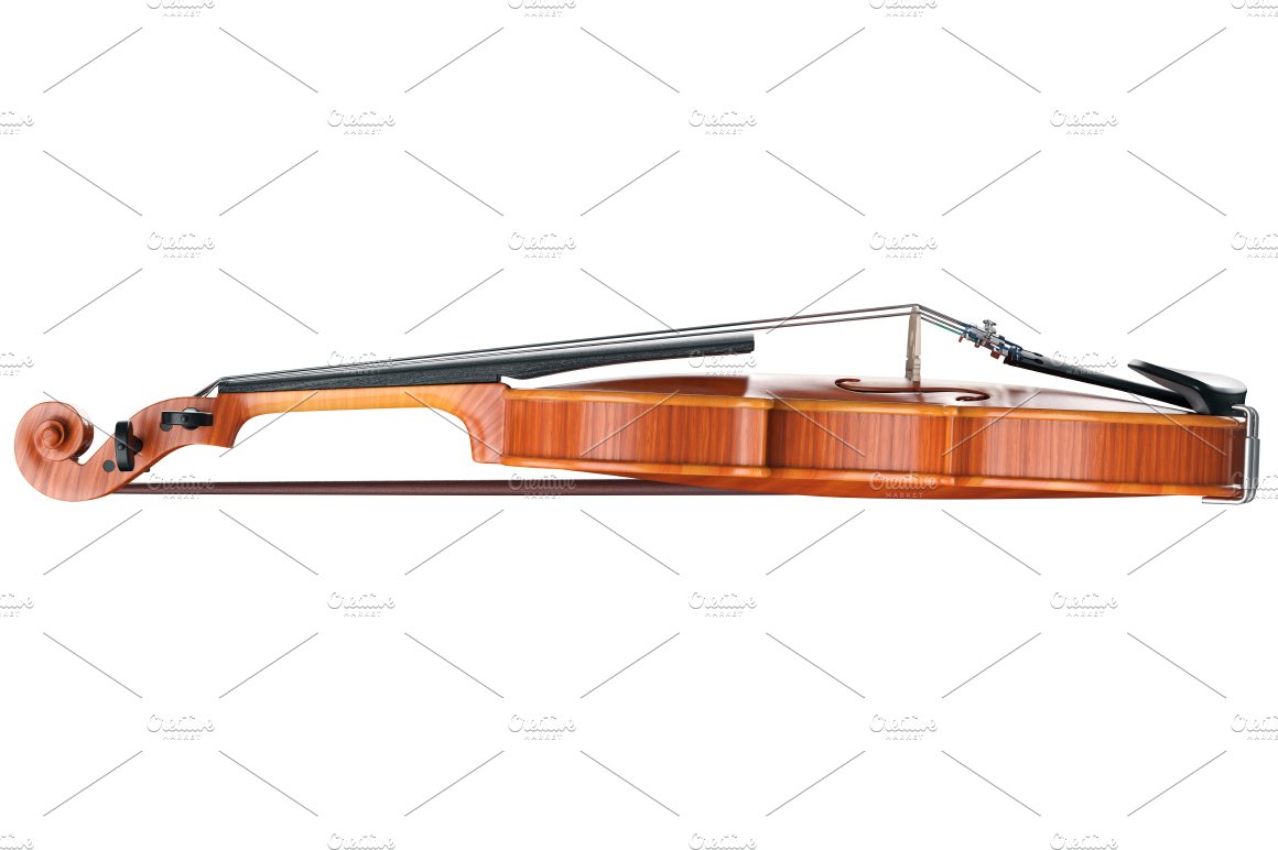 violin viola 009 939
