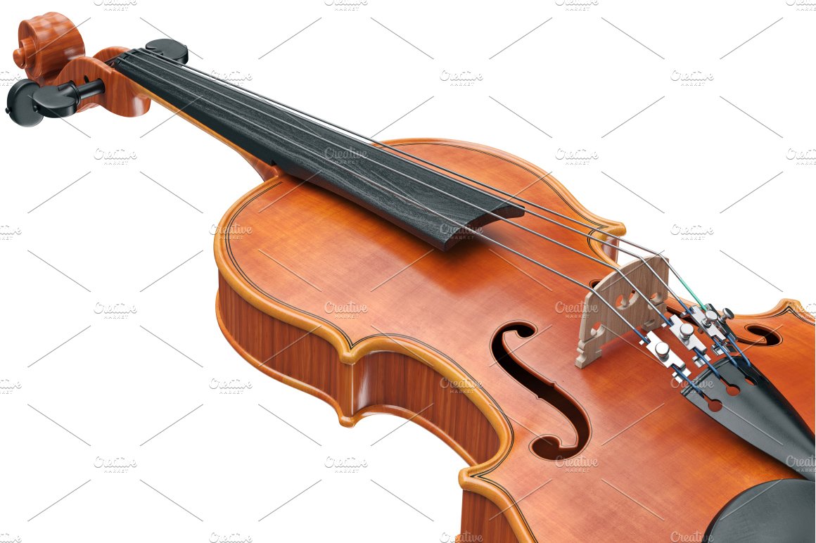 violin viola 011 780