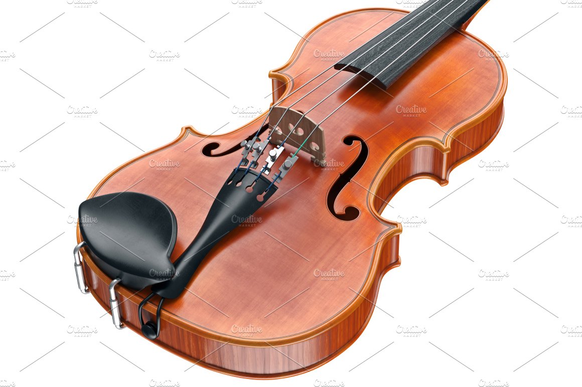 violin viola 013 829