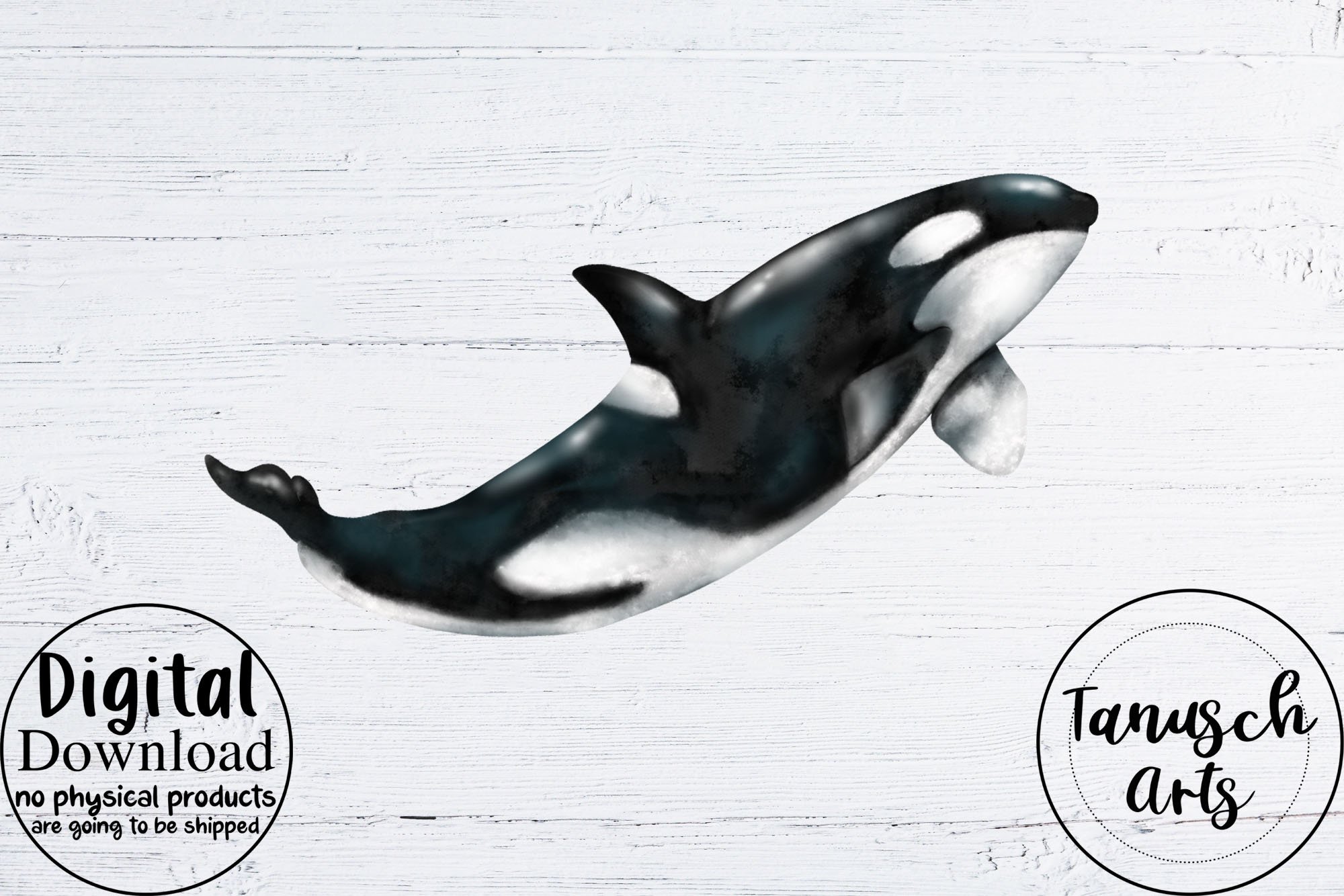 Orca In A Martini Glass Stock Illustration