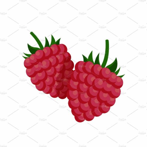 Sweet Small Raspberry with Fruit cover image.
