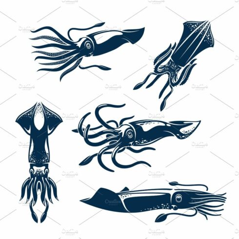 Squid sea animal icon set for seafood design cover image.
