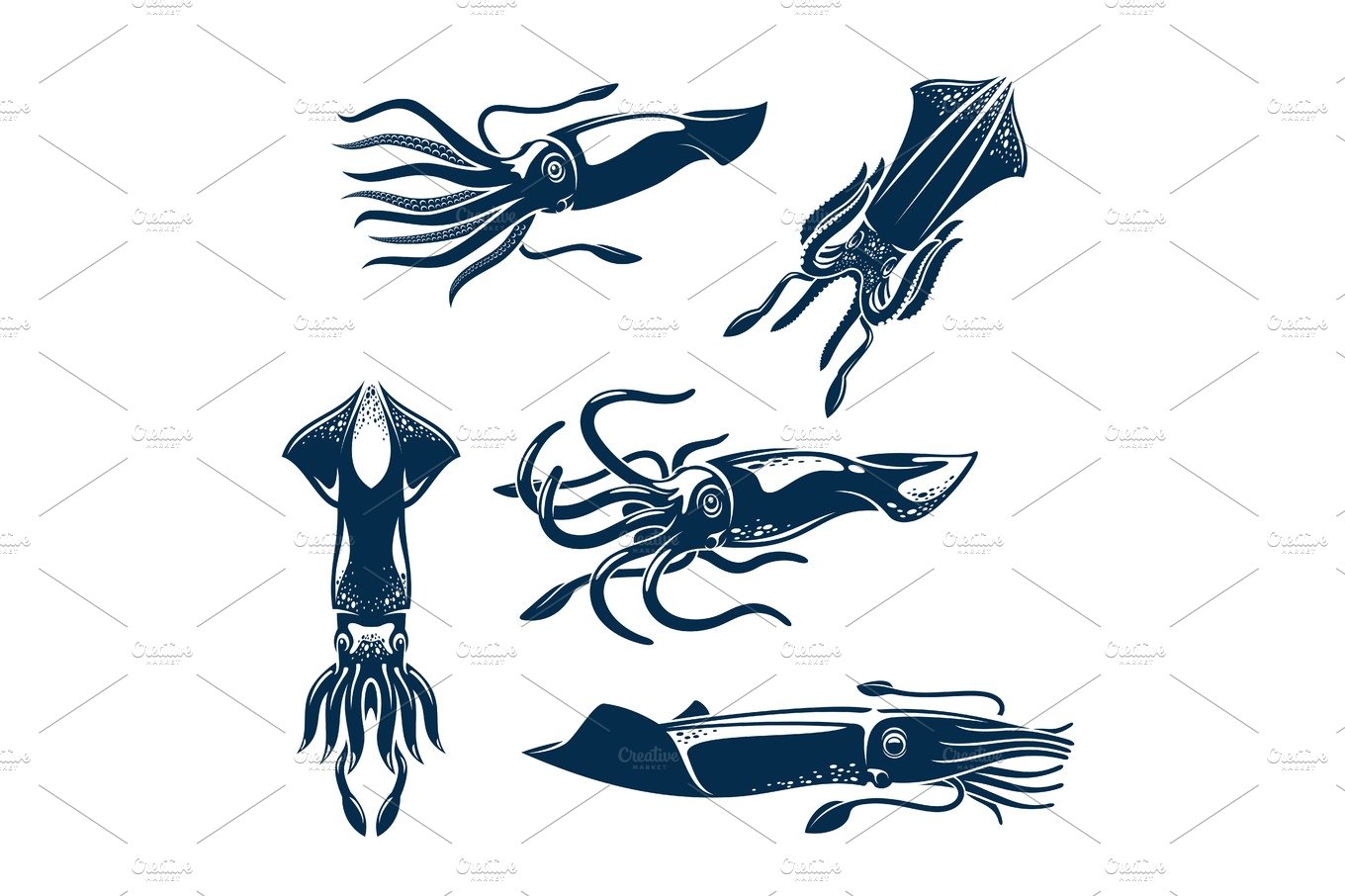 Squid sea animal icon set for seafood design cover image.