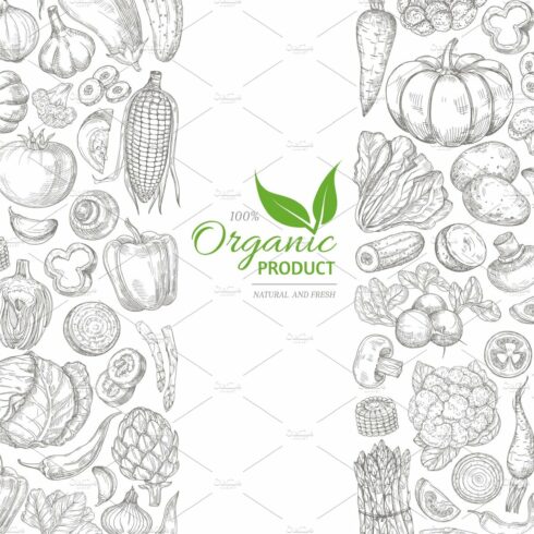 Organic sketch fresh vegetables cover image.