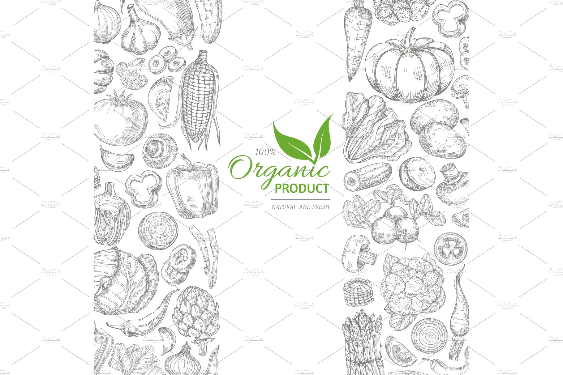 Organic sketch fresh vegetables cover image.
