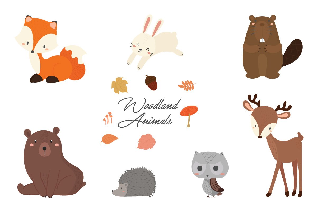 Cute woodland animal birthday party. cover image.