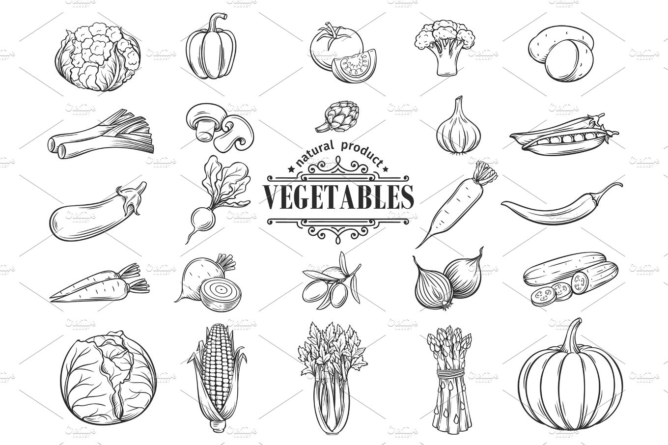 Vector hand drawn vegetables icons set. Decorative cover image.
