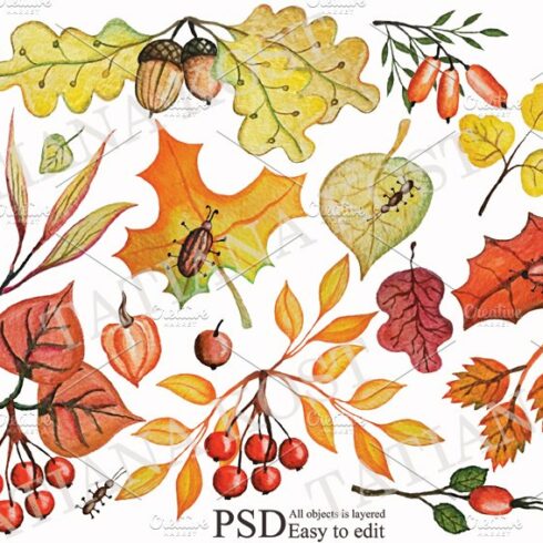 Autumn leaves, berries,branches set cover image.