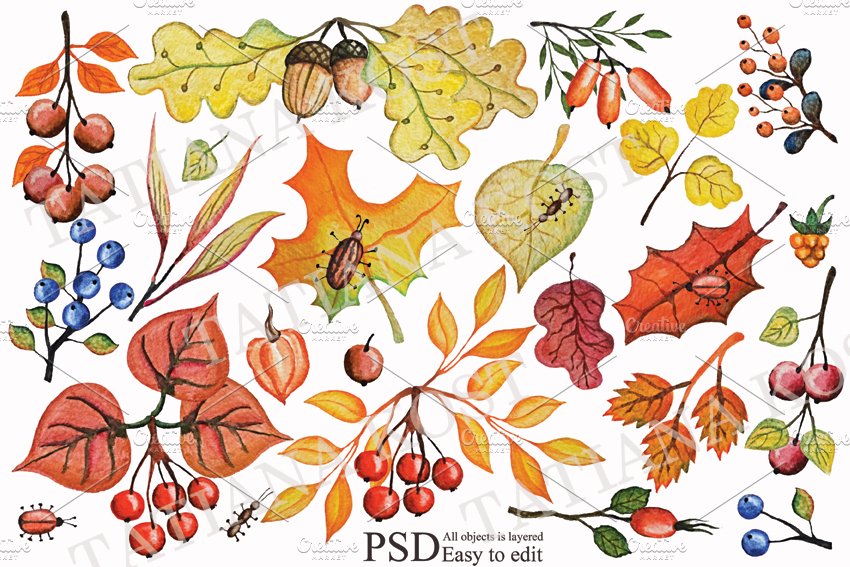 Autumn leaves, berries,branches set cover image.