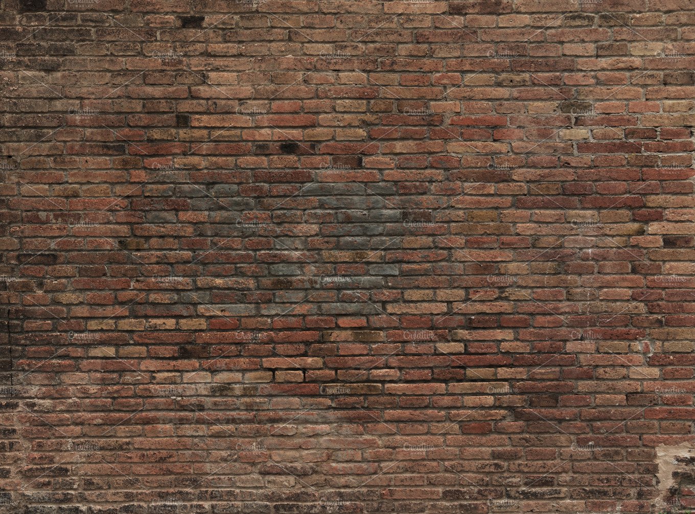 Brick wall cover image.