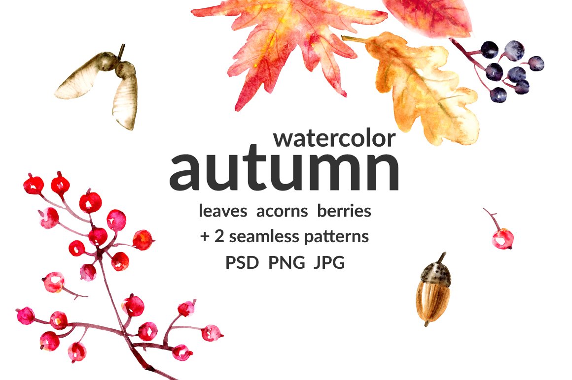 Autumn nature cover image.