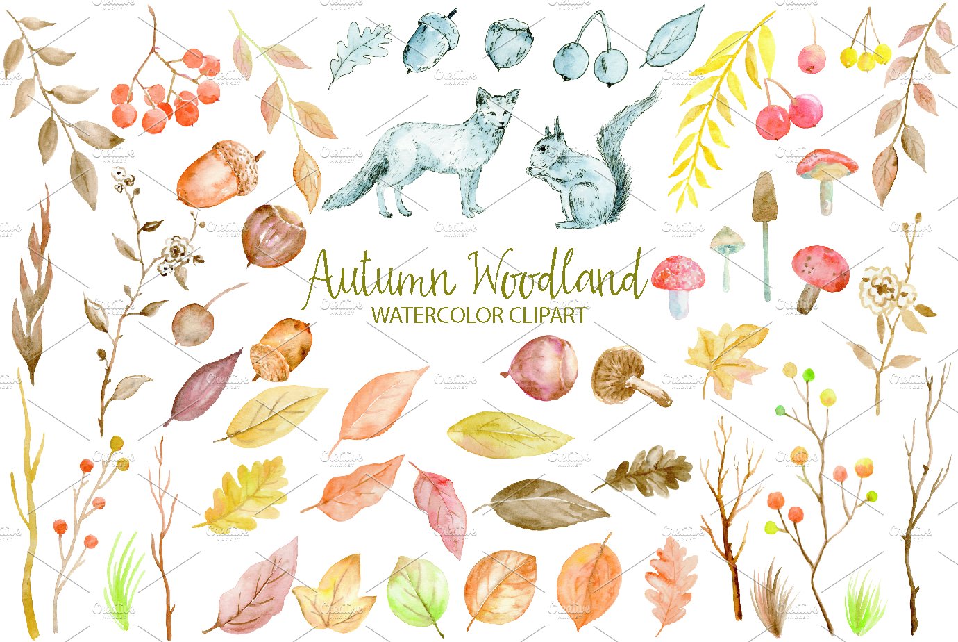 Watercolor Clipart Autumn Woodland preview image.