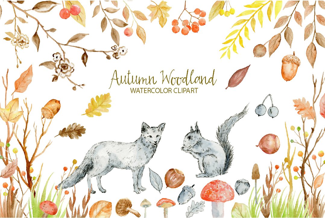 Watercolor Clipart Autumn Woodland cover image.