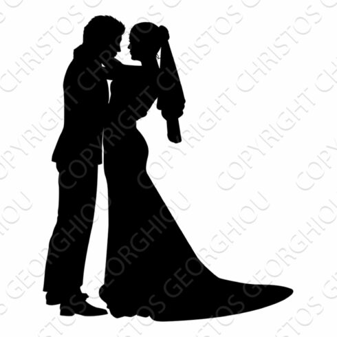 Bride And Groom Couple Wedding Dress cover image.