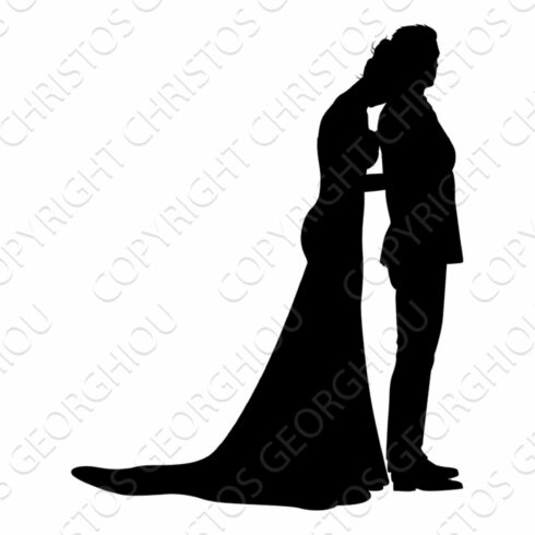 Bride And Groom Couple Wedding Dress cover image.