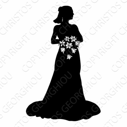 Bride Bridal Wedding Dress cover image.