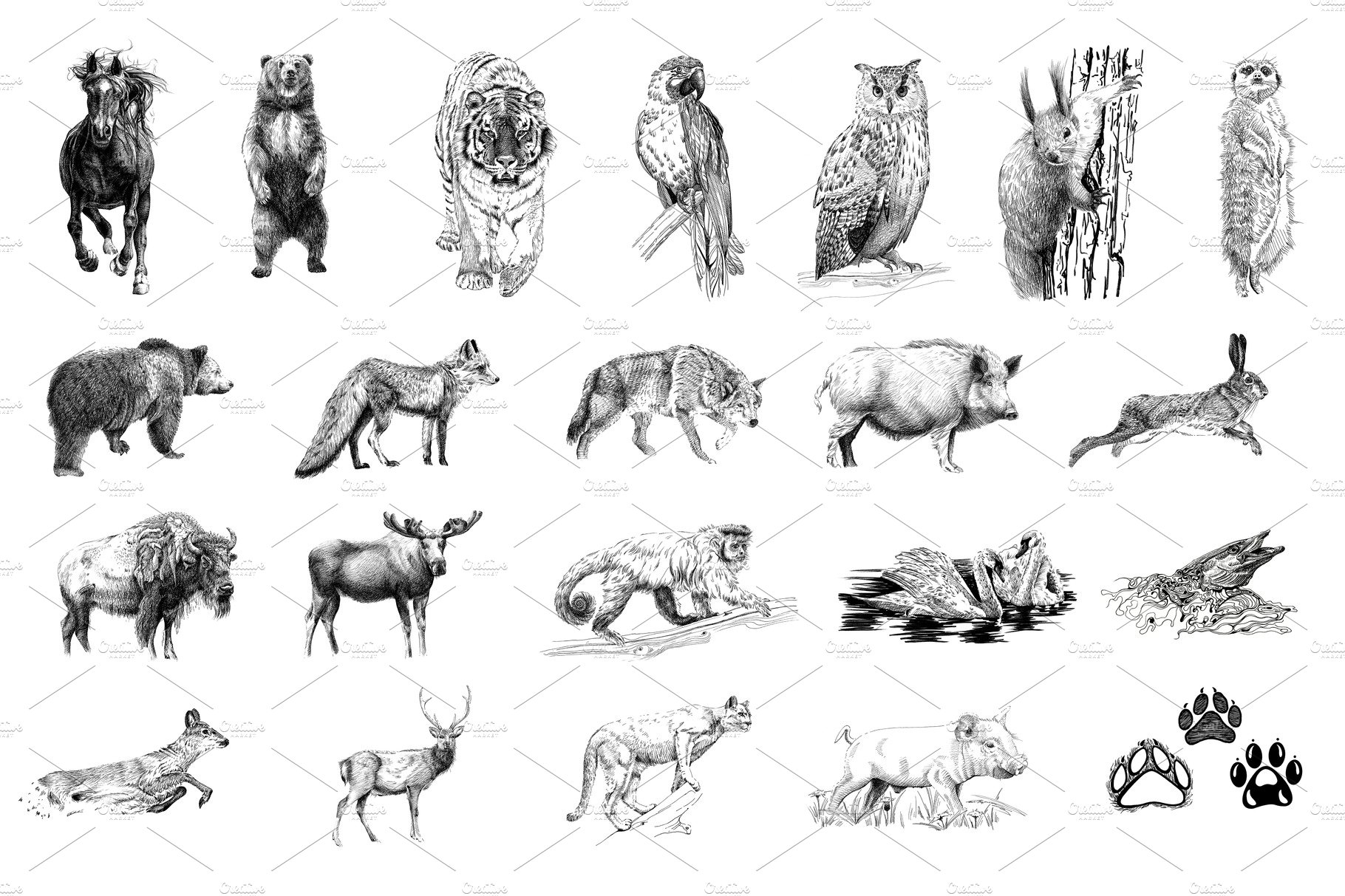 Set of many animals and foot prints cover image.