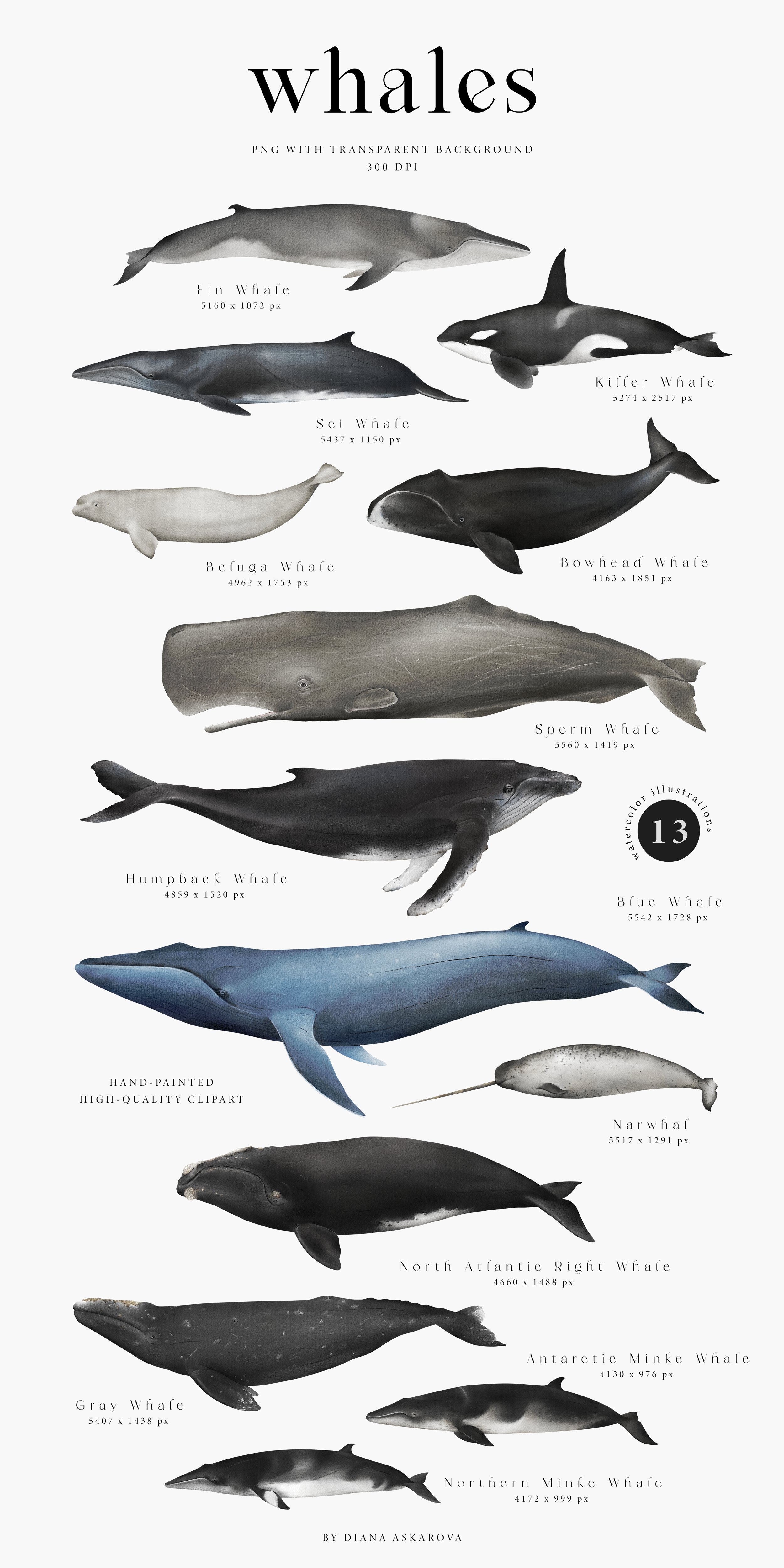 Watercolor Whales. Ocean animals set preview image.