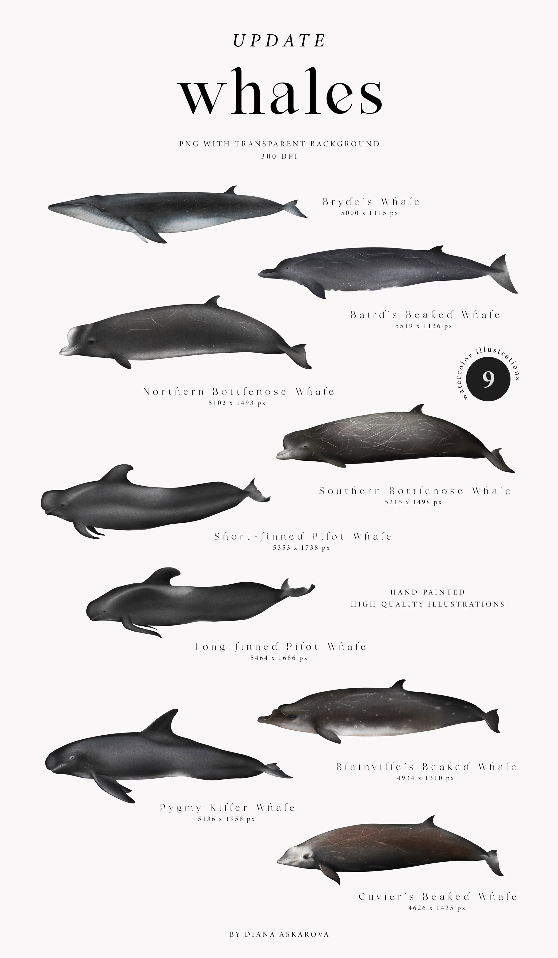 whales part 2 15