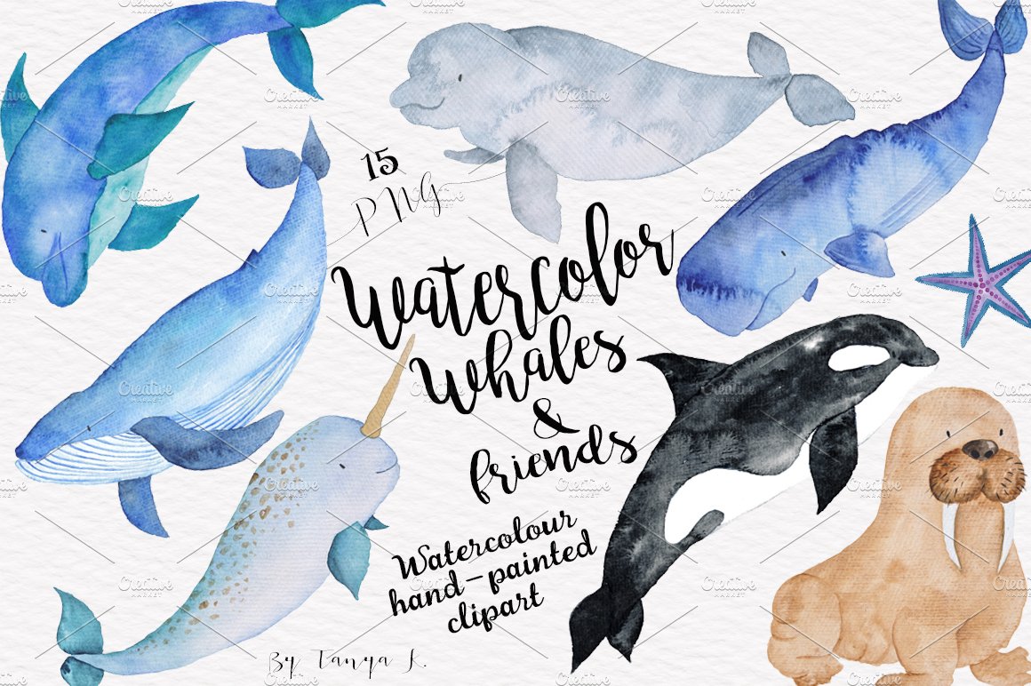 Whales Sea Nautical Watercolor set cover image.