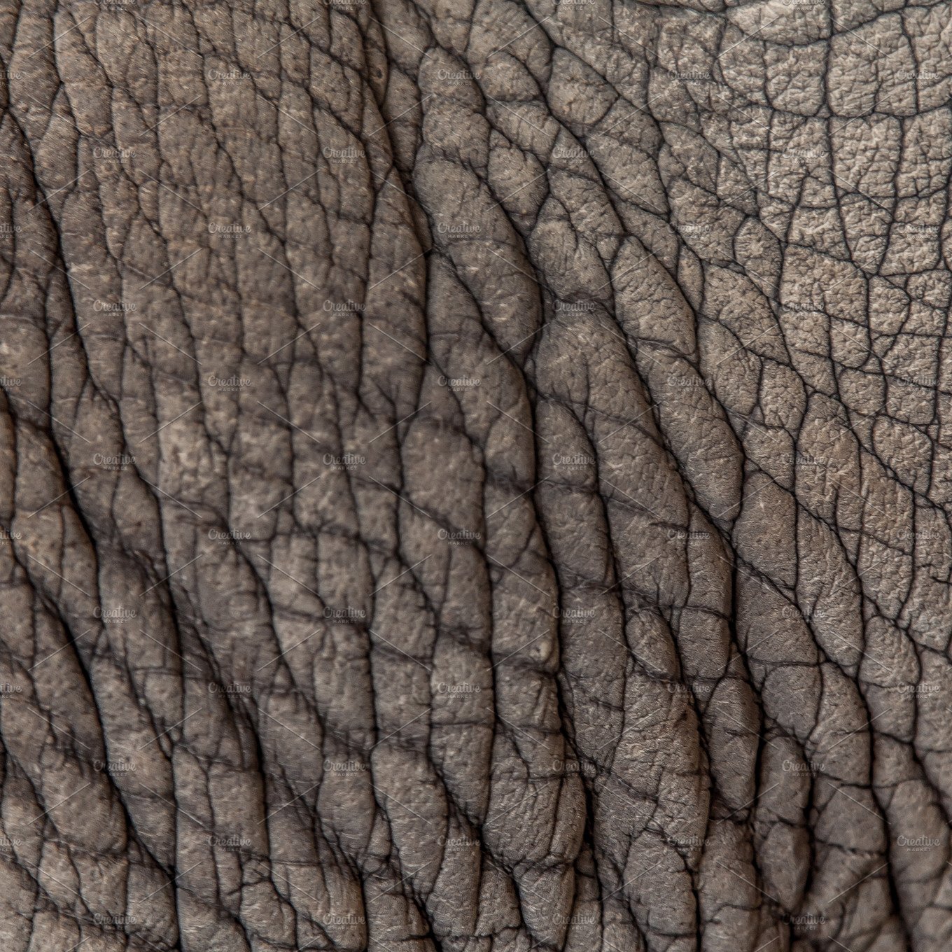 Elephant leather pattern cover image.