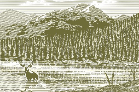 Woodcut Vintage Mountain cover image.