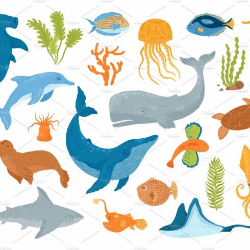 Ocean and sea animals and fish, set cover image.