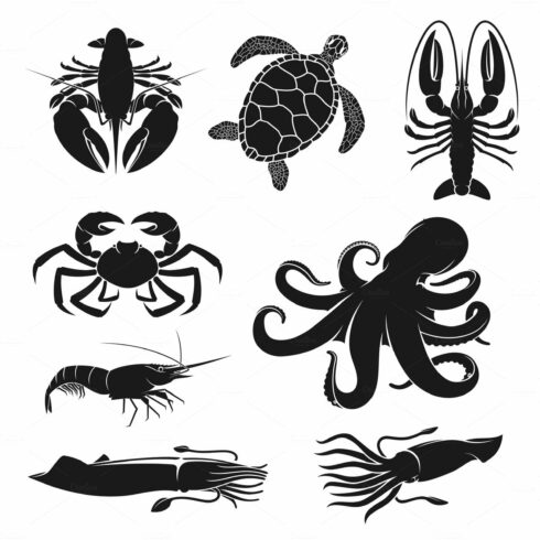 Seafood, octopus, turtle, shrimp cover image.