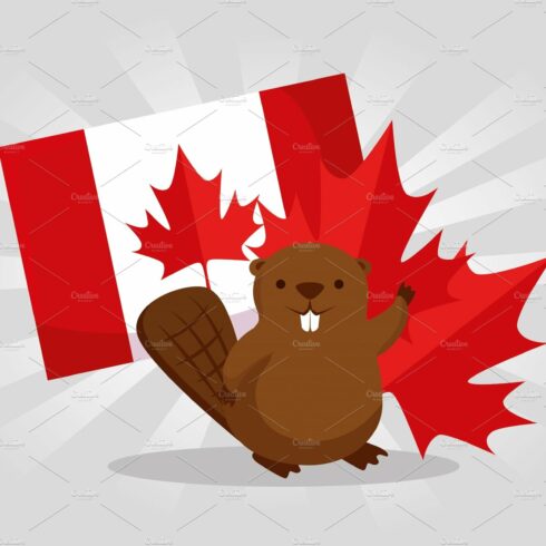 beaver with canada flag and leaf to cover image.