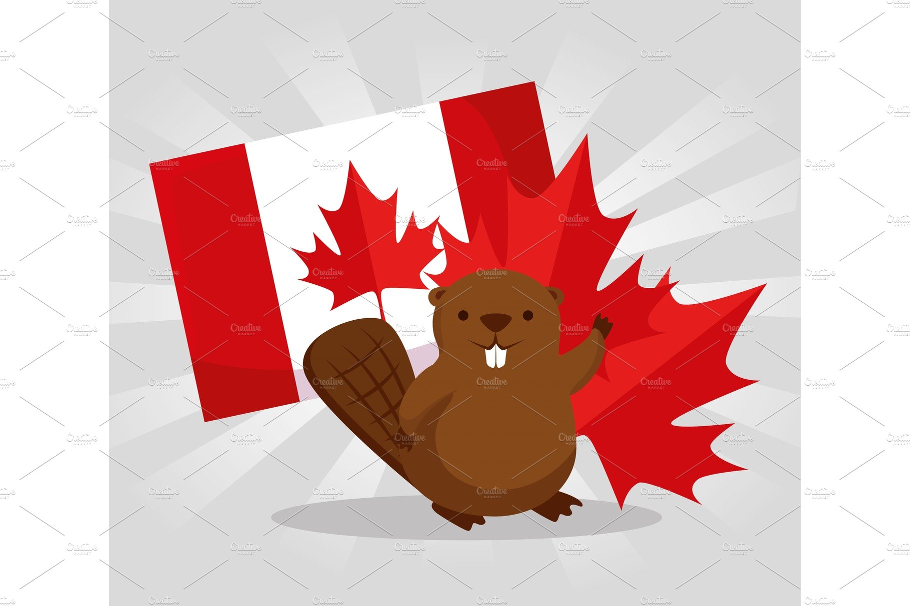 beaver with canada flag and leaf to cover image.