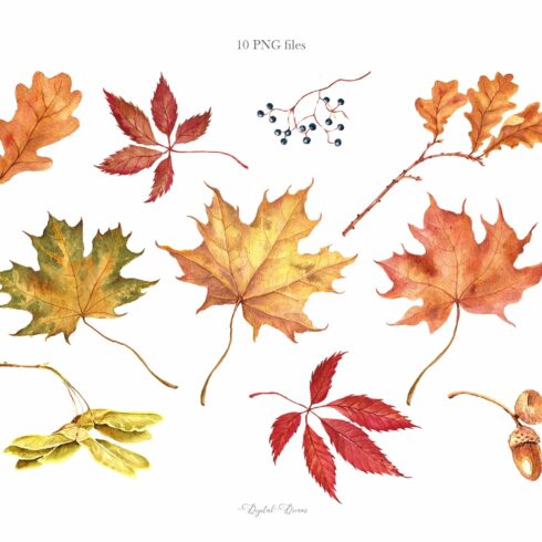 Watercolor fall leaves cover image.
