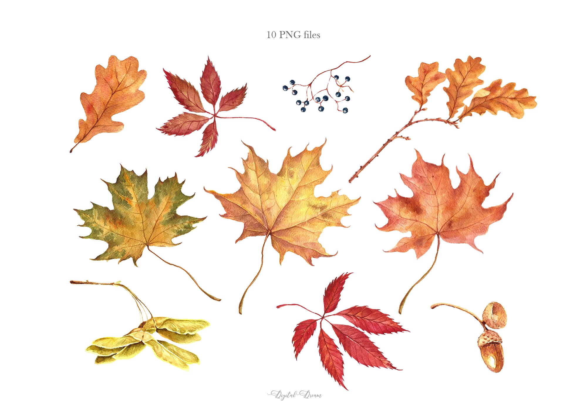 Watercolor fall leaves cover image.