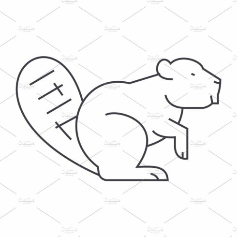 beaver vector line icon, sign, illustration on background, editable strokes cover image.