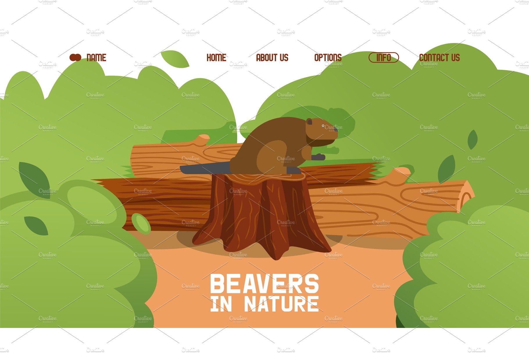 Beaver sit stump, wild animal cover image.