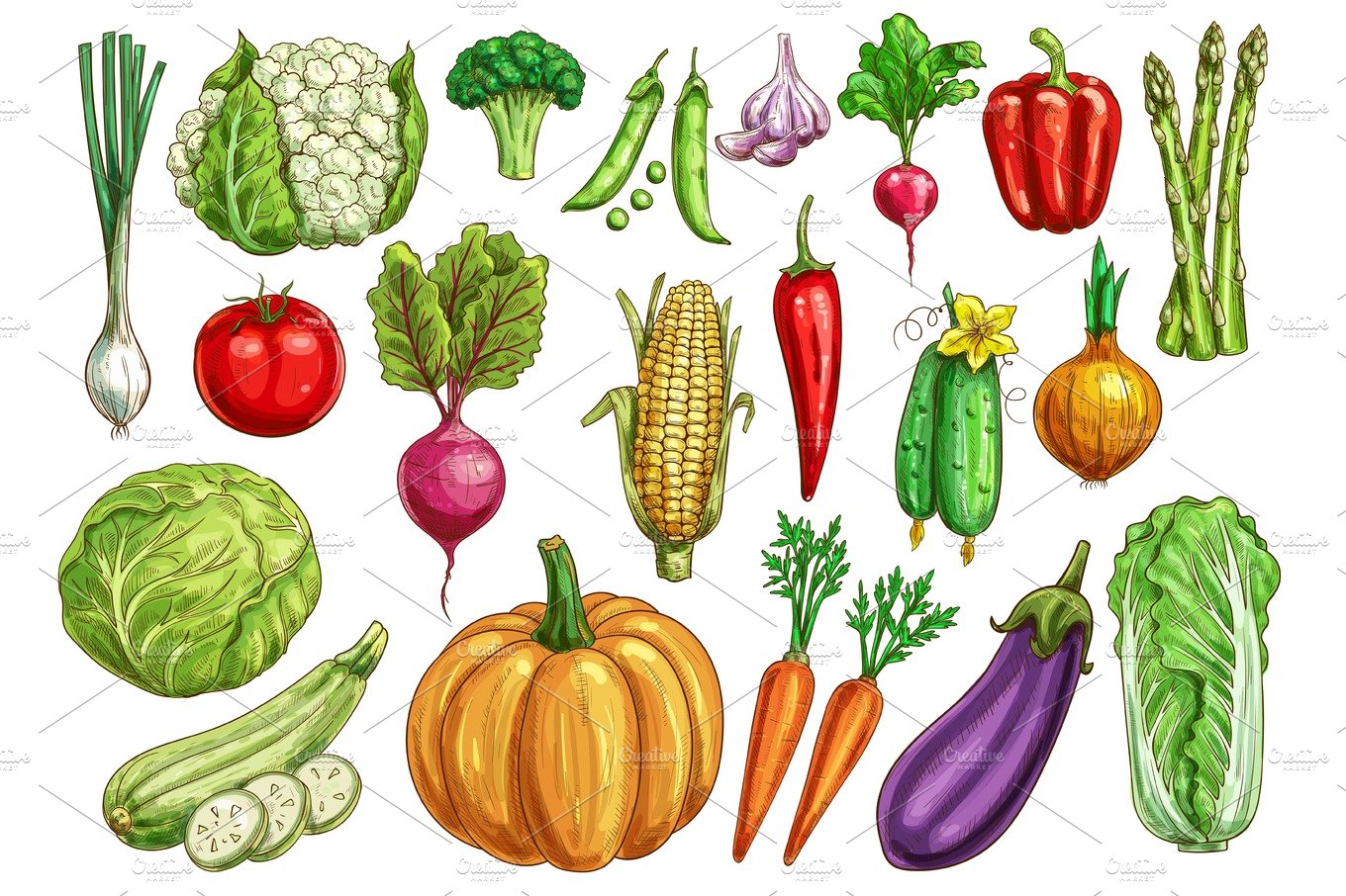 Vegetables isolated sketch set with fresh veggies cover image.