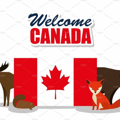 canadian culture group of animals cover image.